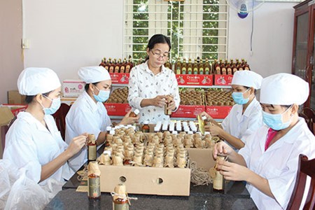 Le Nguyen, a passionate for dragon fruit products  - ảnh 1
